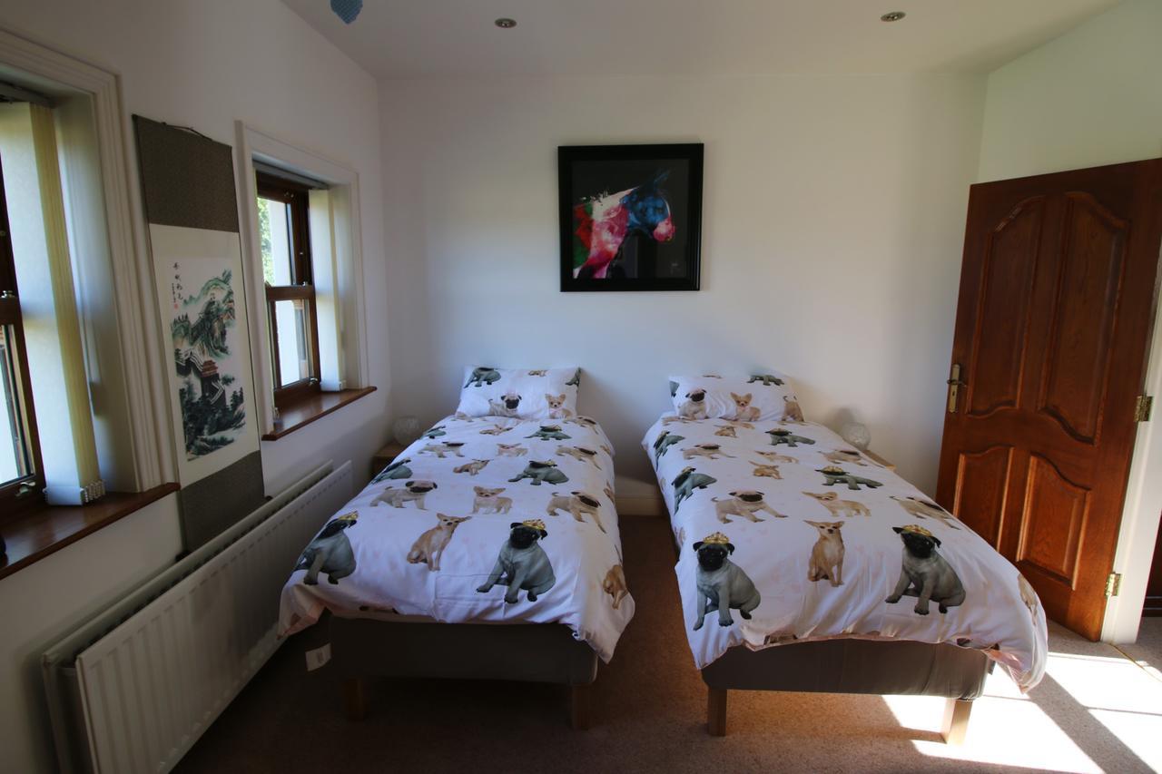 Feetnpaws Bed and Breakfast Portaferry Exteriör bild