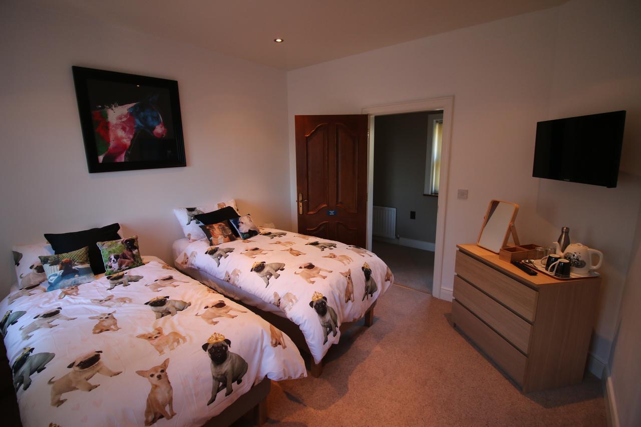Feetnpaws Bed and Breakfast Portaferry Exteriör bild
